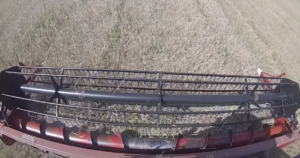 Hirzel canning's plow