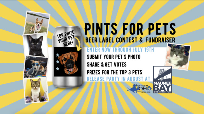 Pints for Pets poster