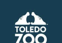 Discover Fall at the Zoo With Free Senior Admission Toledo Zoo & Aquarium