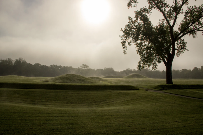 mounds and a tree with fog
