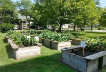 MCommunity: Toledo GROWs Looks Ahead with New Endowment and New Leadership